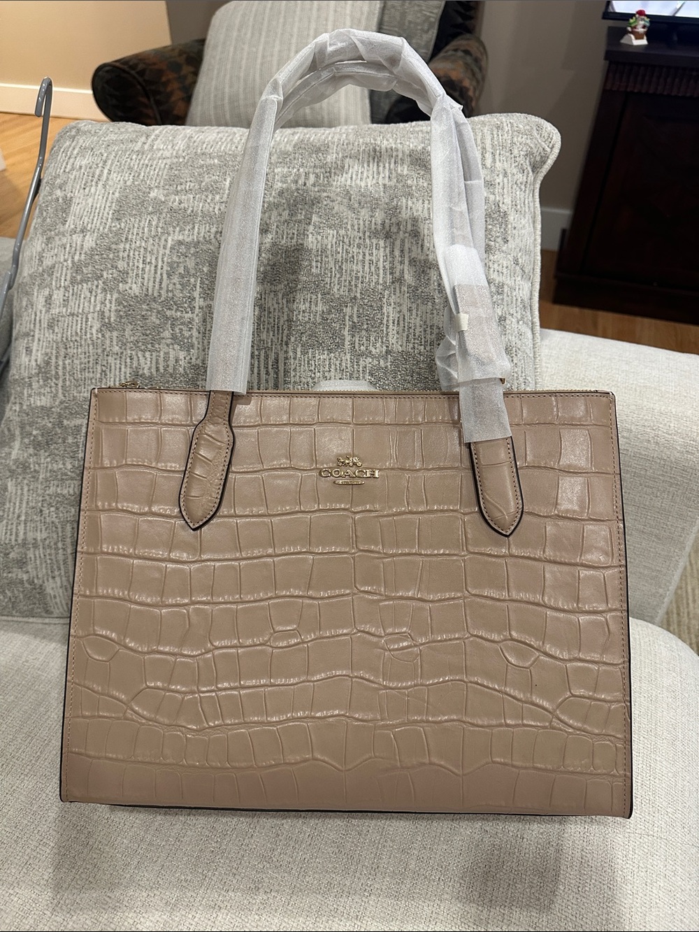 Coach Nina Croc-Embossed Leather Tote Bag in Taupe